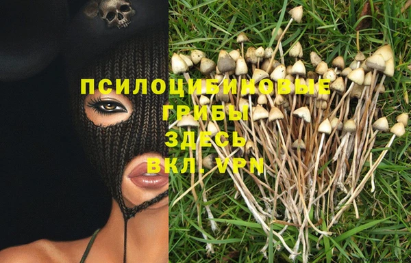 винт Медногорск