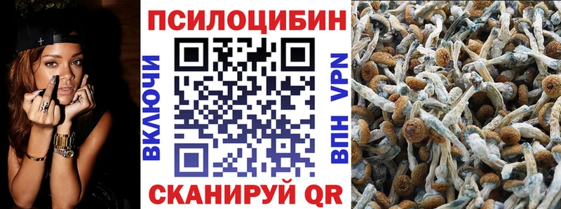 Псилоцибиновые грибы Psilocybine cubensis  hydra ССЫЛКА  Балей 